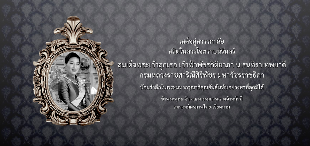 สมาคมมิตรภาพไทย - เวียดนาม