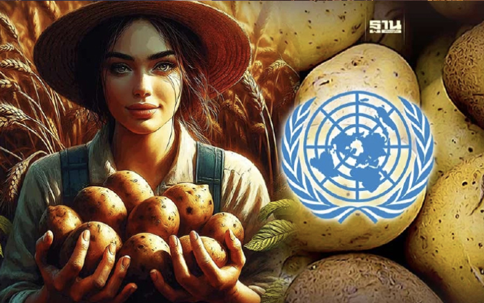 30 พ.ค. วันมันฝรั่งสากล เหตุผลที่ UN ประกาศให้เป็น International Day of Potato
