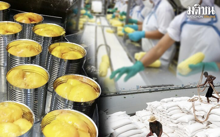 ธุรกิจอาหาร-เกษตรแปรรูป ชี้เงินบาทแข็งค่า สร้างสุญญากาศออเดอร์ใหม่ช่วงคริสมาสต์