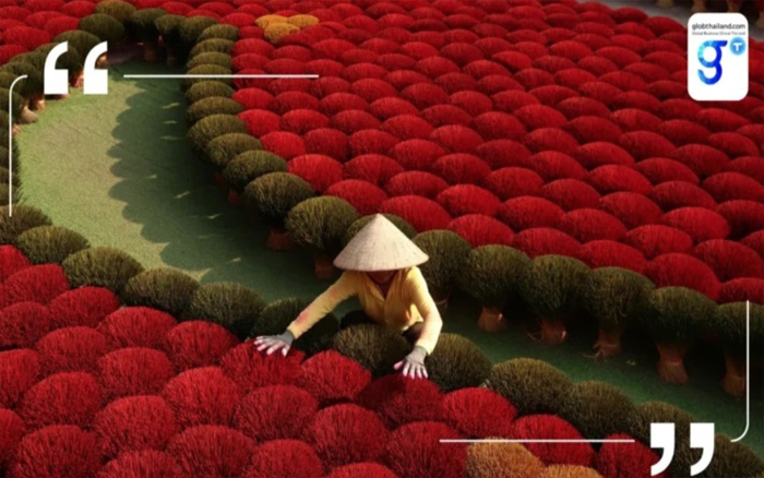 โครงสร้างประชากรหนุนเวียดนาม ขึ้นแท่นฐานผลิตใหม่ของภูมิภาค